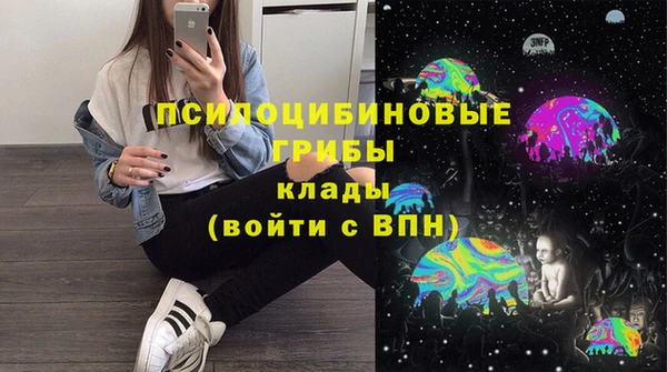 тгк Семилуки