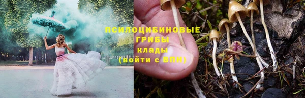 тгк Семилуки