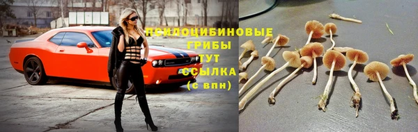 MESCALINE Семикаракорск